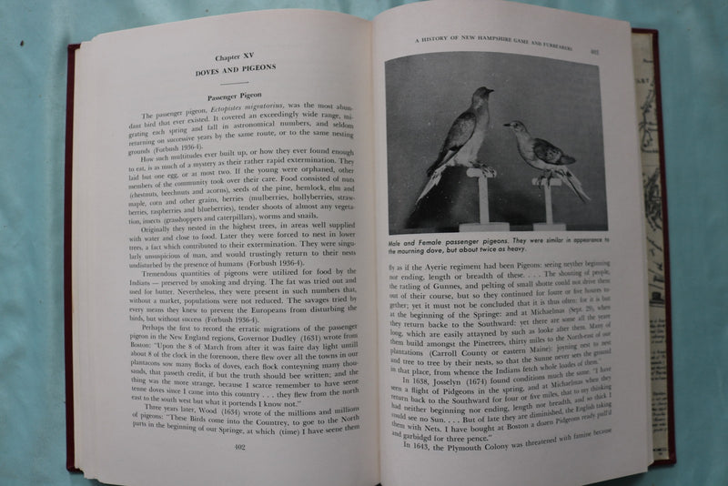 1957 NEW HAMPSHIRE GAME AND FURBEARERS REPORT BY HELENETTE SILVER - KD 9723