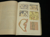 1905-1907 THE JOURNAL OF MENTAL PATHOLOGY MAGAZINE LOT OF 7 - WR 572K