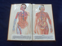 1958 TRANS-VISIONS OF ANATOMICAL CHROMOGRAPHS HARDCOVER BOOK BY DAVIS - KD 8756