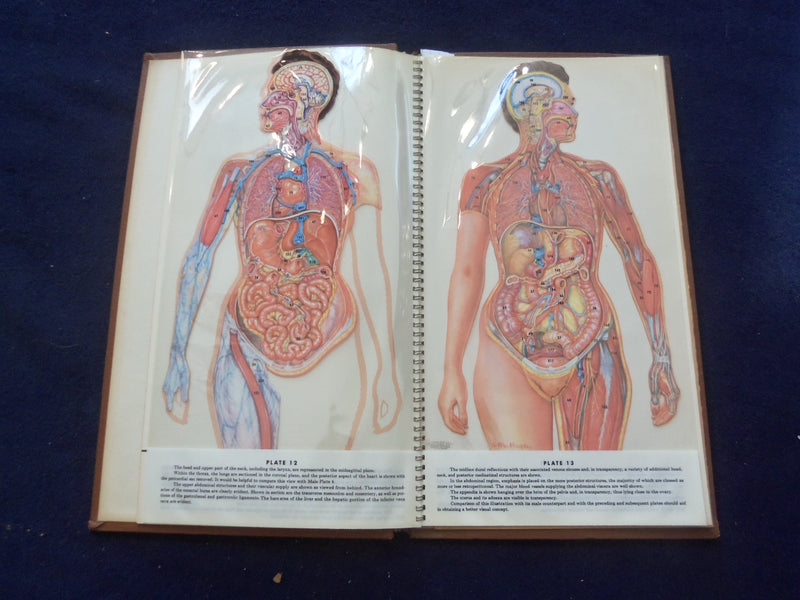 1958 TRANS-VISIONS OF ANATOMICAL CHROMOGRAPHS HARDCOVER BOOK BY DAVIS - KD 8756