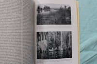 1917 NOVEMBER THE AMERICAN MUSEUM JOURNAL - PENGUINS - SOFTCOVER BOOK - K 3270