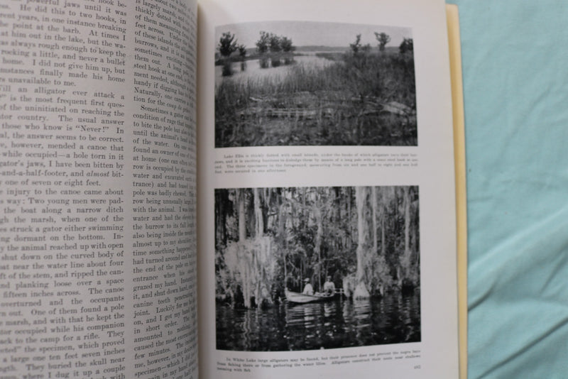 1917 NOVEMBER THE AMERICAN MUSEUM JOURNAL - PENGUINS - SOFTCOVER BOOK - K 3270