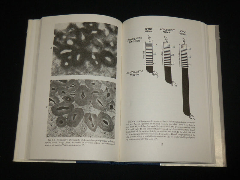 1958 THE CHEMICAL DYNAMICS OF BONE MINERAL BOOK BY NEUMAN & NEUMAN - KD 6461
