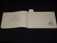 1923 BLUE AND GOLD STERLING HIGH SCHOOL YEARBOOK - ILLINOIS - YB 2944