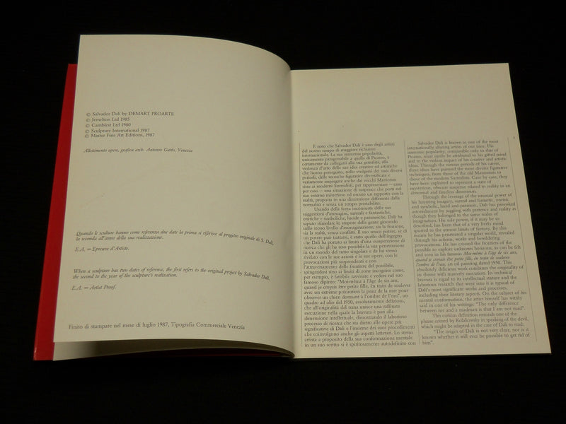 1987 DALI NELLA TERZA DIMENSIONE SOFTCOVER BOOK - NICE PHOTOS - R 725U