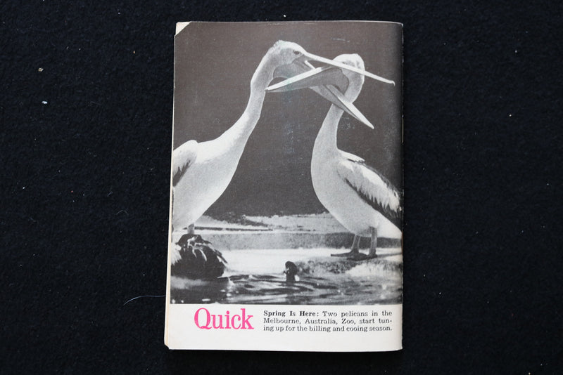 1953 MARCH 23 QUICK DIGEST MAGAZINE - ROCKY MARCIANO COVER - K 2422