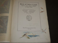 1917 BIRDS OF OTHER LANDS NATURE LOVERS LIBRARY - GREAT ILLUSTRATIONS - KD 32
