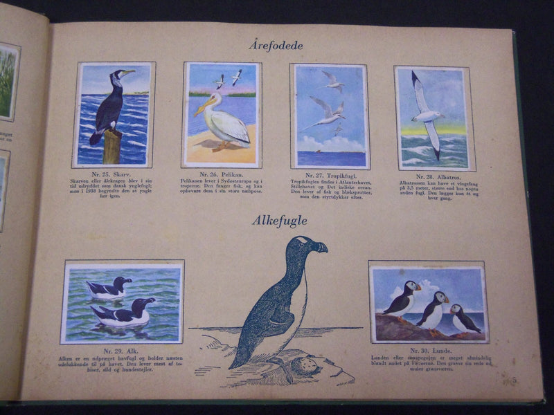 1940'S DANMARKS SERIE FRA FUGLENES VERDEN BIRDS TOBACCO CARDS ALBUM - KD 3188