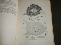 1915 ELECTRIC MOTOR NERVE CELL IN TORPEDOES BOOK BY ULRIC DAHLGREN - J 7115