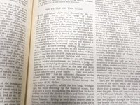 1920 SATURDAY REVIEW 2 BOUND VOLUMES - COMPLETE YR- PUBLISHED IN LONDON - R 1129