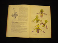 1953 BUNGA ANGGERIK HARDCOVER BOOK BY S.M. LATIF - INDONISIAN TEXT - KD 8134