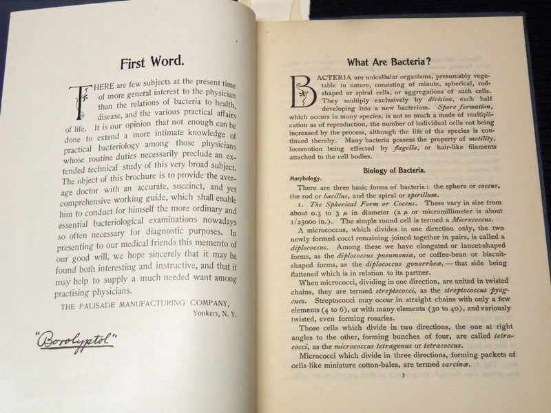 1901 SYLLABUS OF BACTERIOLOGY DESIGNED TO AID PHYSICIAN - 5 PLATES - J 7953