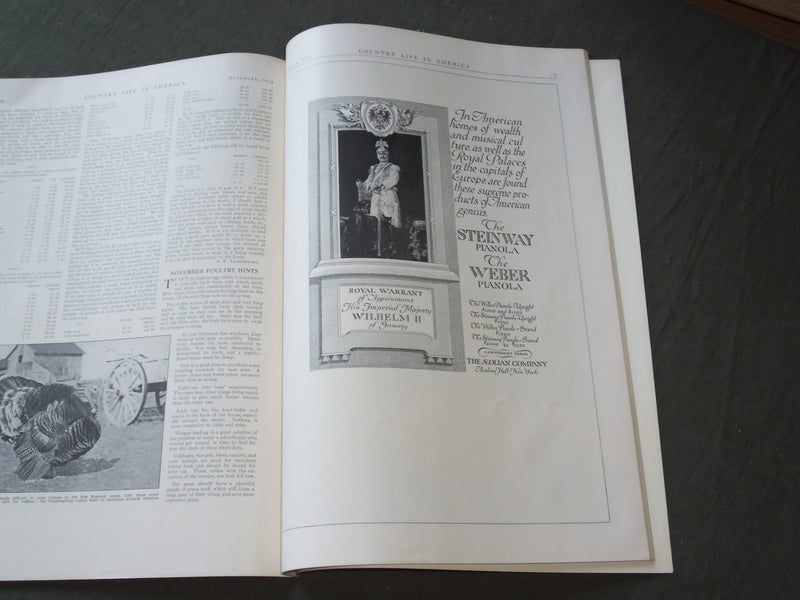 1913 NOVEMBER COUNTRY LIFE IN AMERICA MAGAZINE - GREAT COVER & ADS - F 493