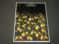 1983 ITALIANSTILL LIFE PAINTINGS FROM THREE CENTURIES BY JOHN T. SPIKE - D 404