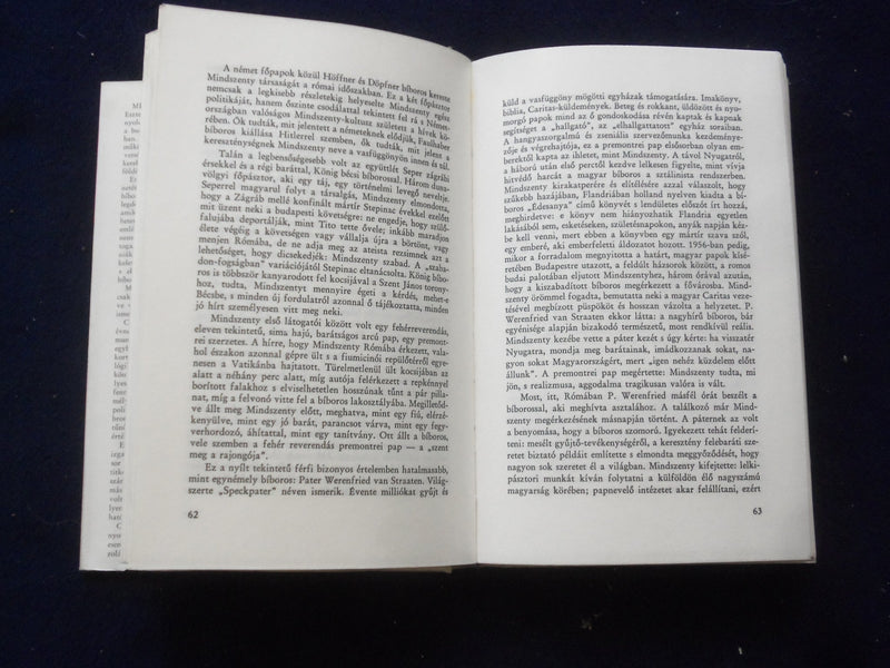 1976 ASZAMUZOTT BIBOROS HARDCOVER BOOK BY CSONKA EMIL - HUNGARIAN TEXT - KD 8768