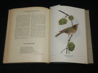1901 BIRDS AND NATURE IN NATURAL COLORS VOLUME 10 BY WILLIAM HIGLEY - KD 7512