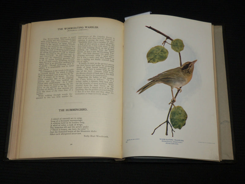 1901 BIRDS AND NATURE IN NATURAL COLORS VOLUME 10 BY WILLIAM HIGLEY - KD 7512