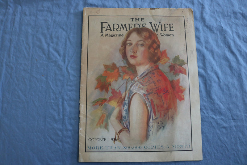1926 OCTOBER THE FARMER'S WIFE MAGAZINE - ILLUSTRATIONS/STORIES/ADS - SP 4784G