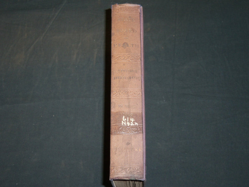 1899 NY STATE DEPARTMENT OF HEALTH 20TH ANNUAL REPORT VOLUME NO. 2 - KD 5898