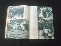 1935 DECEMBER NATURE MAGAZINE - AT THE ICE KING'S BOARD - B 1181N