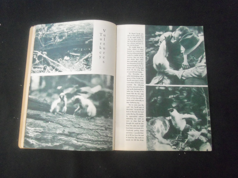 1935 DECEMBER NATURE MAGAZINE - AT THE ICE KING'S BOARD - B 1181N
