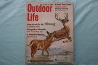 1967 NOVEMBER OUTDOOR LIFE MAGAZINE - ILLUSTRATED DEER COVER - E 26673