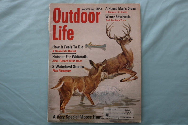 1967 NOVEMBER OUTDOOR LIFE MAGAZINE - ILLUSTRATED DEER COVER - E 26673