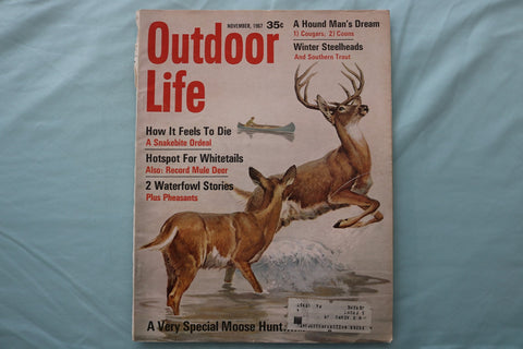 1967 NOVEMBER OUTDOOR LIFE MAGAZINE - ILLUSTRATED DEER COVER - E 26673