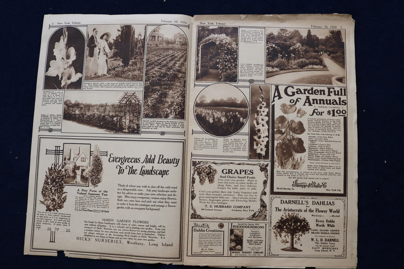 1924 FEB 10 NY TRIBUNE GARDEN GRAPHIC SECTION- PEARL WHITE-ELSIE JANIS - NP 8757