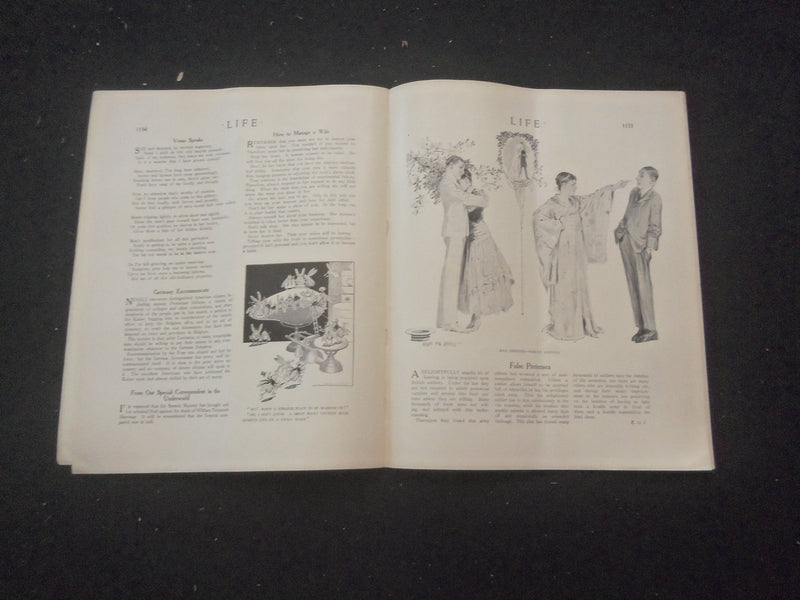 1915 JUNE 24 LIFE MAGAZINE - CHOOSING HER PROFESSION - L 761M