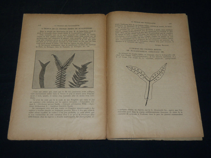 1912-1925 LA FEUILLE DES NATURALISTES FRENCH MAGAZINE LOT OF 22 ISSUES - WR 106C