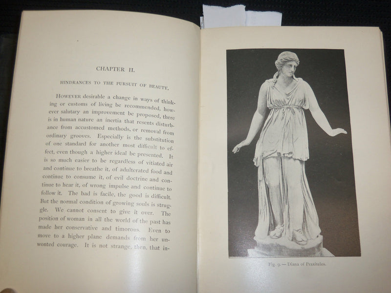 1894 BEAUTY OF FORM AND GRACE OF VESTURE HARDCOVER BOOK - FRANCES STEELE- J 7030