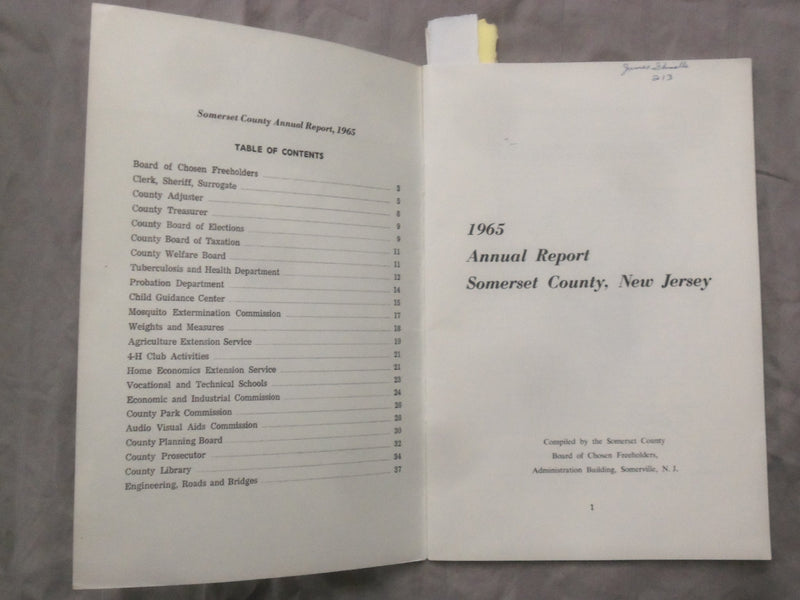 1965 SOMERSET COUNTY NEW JERSEY ANNUAL REPORT SOFTCOVER BOOK - K 290