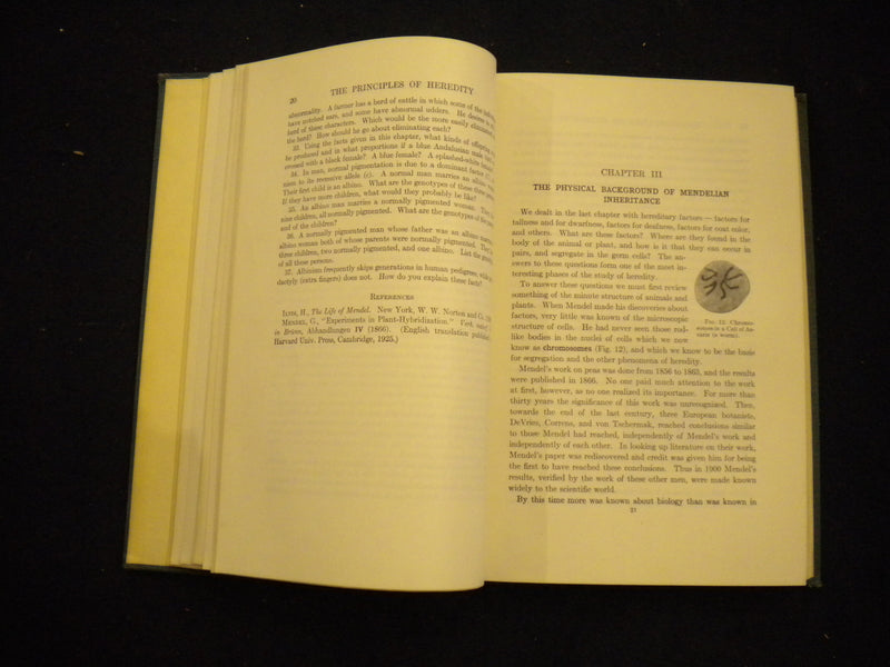 1946 THE PRINCIPLES OF HEREDITY HARDCOVER BOOK LAURENCE H. SNYDER - KD 8137