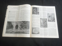 1925 JULY SCIENTIFIC AMERICAN MAGAZINE - IN THE WAKE OF KING TIDE - B 5535P