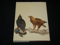 1976 BIRDS THEIR LIFE WAYS THEIR WORLD HARDCOVER BOOK BY DR. PERRINS - I 1898