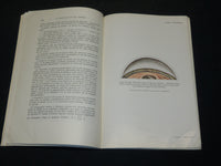 1955-1957 ANNALES D'OCULISTIQUE FRENCH JOURNALS LOT OF 19 ISSUES - WR 336A