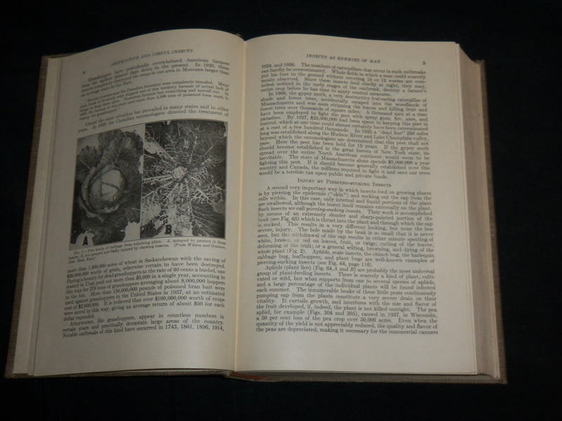 1939 DESTRUCTIVE AND USEFUL INSECTS HARDCOVER BOOK BY C. L. METCALF - KD 7016