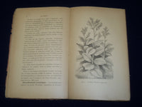 1891 LE TABAC MANUEL PRATIQUE BOOK BY ALBERT LARBALETRIER - FRENCH - J 4765