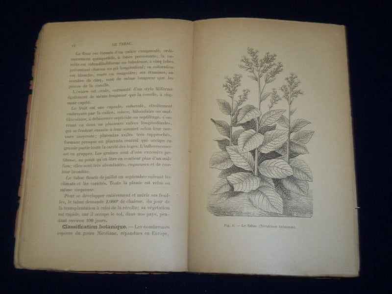 1891 LE TABAC MANUEL PRATIQUE BOOK BY ALBERT LARBALETRIER - FRENCH - J 4765