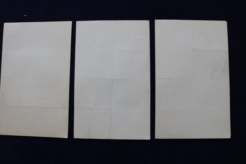 1897-1898 BOSTON MUSIC HALL PROGRAMS - LOT OF 19 - R. MARRINER FLOYD - K 1634