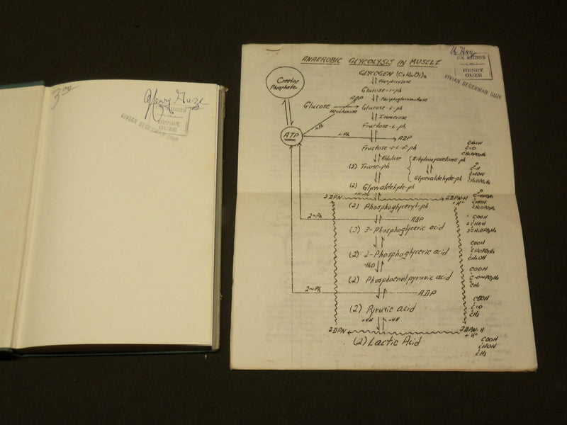 1955 IONIC INTERPRETATION OF DRUG ACTION IN CHEMOTHERAPEUTIC RESEARCH - KD 6061