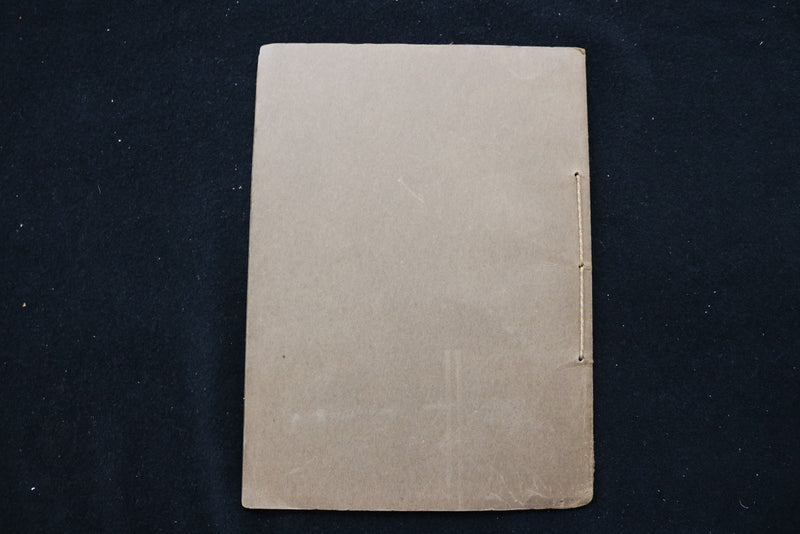 1928 SAVANA OLD AND NEW PICTURE BOOK - ILLINOIS - SOFTCOVER BOOK - K 2883