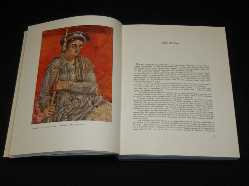 1963 PITTORI DI POMPEI HARDCOVER BOOK BY C. L. RAGGHIANTI W/SLIPCASE - R 722H