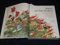 1961 BIRDS OF THE WORLD HARDCOVER BOOK BY OLIVER AUSTIN - NICE ILLUS.- KD 4585K