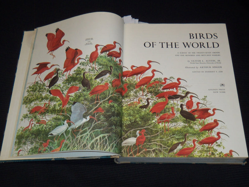 1961 BIRDS OF THE WORLD HARDCOVER BOOK BY OLIVER AUSTIN - NICE ILLUS.- KD 4585K