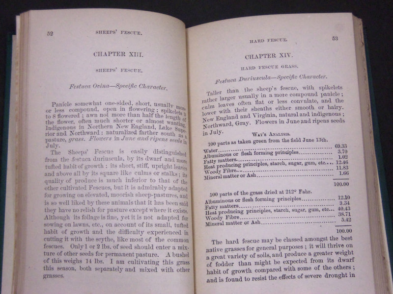 1875 HENDERSON'S HANDBOOK OF THE GRASSES OF GREAT BRITAIN & AMERICA - KD 5819