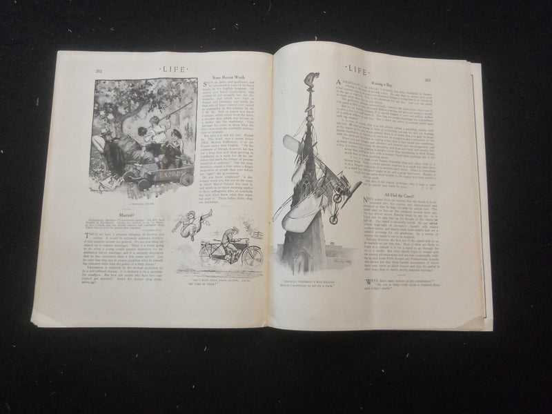 1913 JULY 31 LIFE MAGAZINE - 