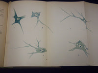 1903-1916 NATIONAL UNIVERSITY SCIENTIFIC EPETIRIS GREEK VOLUME LOT OF 6- KD1420A