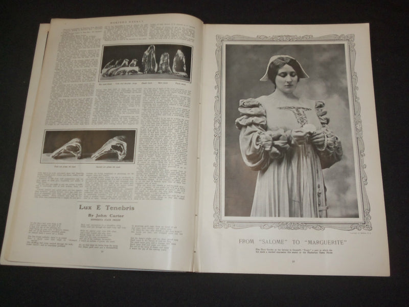 1910 FEBRUARY 19 HARPER'S WEEKLY MAGAZINE -THE PROOF OF THE PORRIDGE - ST 6365
